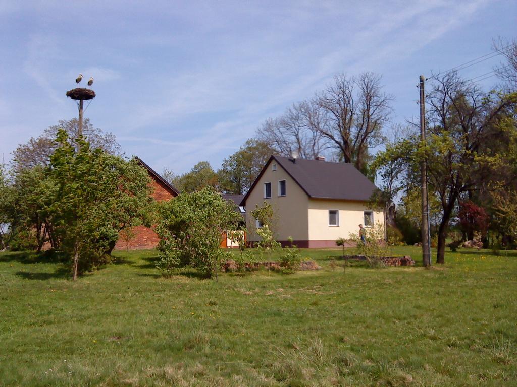 Ferienwohnung Am Storchennest Schmogrow Extérieur photo